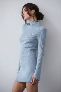 Iliana Mock Neck Ribbed Sweater Mini Dress